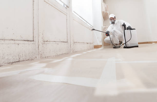 24/7 Emergency Mold Remediation experts in McChord AFB, WA