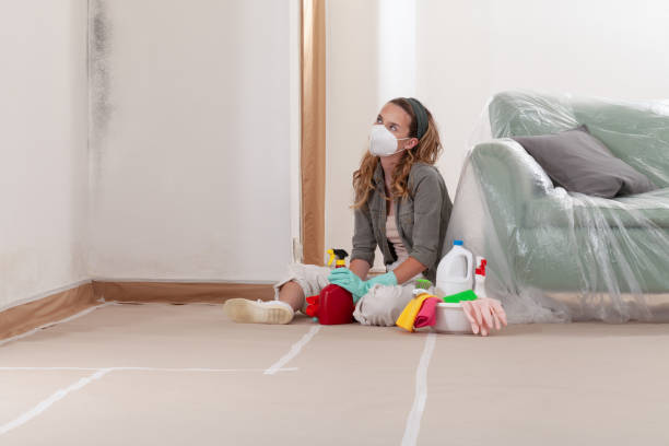 Reliable Mold Remediation contractor in McChord AFB, WA by 24 Hour Mold Removal