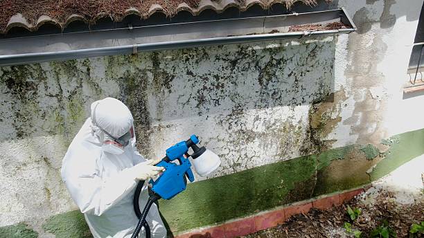 Top rated local Mold Remediation specialists in McChord AFB, WA